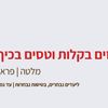 טיסות עם כבודה